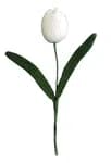 Crochet 4 Differnt Colour Tulip Flower with Fine Leaf -4Pcs