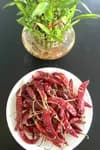 Dry Red Chilli 500 Gm Packet