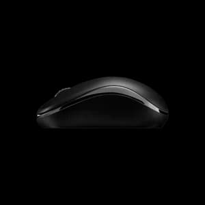 RAPOO M216 Wireless Mouse