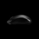 RAPOO M216 Wireless Mouse