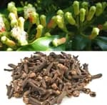 Combo Cardamom Seed 1Kg Cloves 1Kg Packet