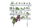Hydroponic System DFT-32 for 32 plants,150*80*145