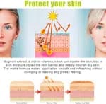 Matte Sun Protection Stick SPF 50+ PA++++ (18g) - Non-Greasy Mugwort & Camellia Sunscreen Stick for Face & Body
