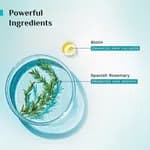 Pilgrim Spanish Rosemary Anti Hairfall Hair Mask, 200Gm With Biotin For Reducing Hair Fall & Strengthens Hair