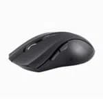 Prolink Wireless Optical Mouse - PMW6005