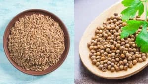Jeera And Dhaniya Combo One Kg Jeera And 400 Gm Dhaniya