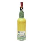 King Birendra Printed Handmade Craft Bottle With Light Lamp