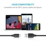 Anker Powerline USB-C to USB 3.0 Cable (A8163H11) (3ft,Black)