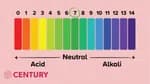 Ph Drop and ORP Drop(5ml)