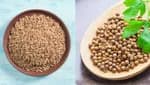 Jeera And Dhaniya Combo One Kg Jeera And 400 Gm Dhaniya