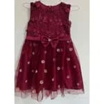 Fancy Net Dress