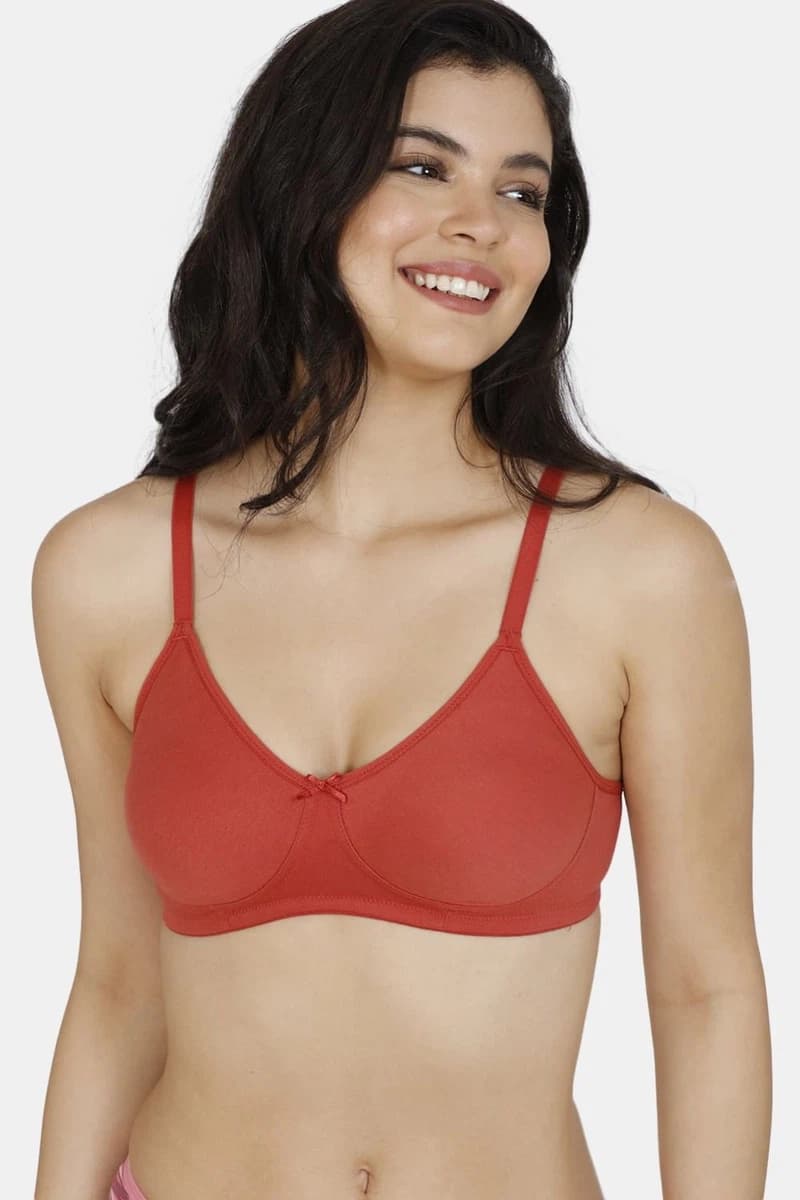 Zivame Double Layered Non Wired 3/4th Coverage Super Support Bra - Dusty Cedar