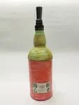 Elvis Presley Printed Handmade Craft Bottle With Night Lamp - Unique Gift Item