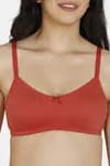 Zivame Double Layered Non Wired 3/4th Coverage Sag Lift Bra - Dusty Cedar