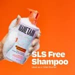Manetain Clarifying Shampoo for All Hair Types 237ml Sulphate Paraben and Toxin Free Mild Vegan Shampoo for Women, Men with Wavy, Dry, Curly and Frizzy Hair