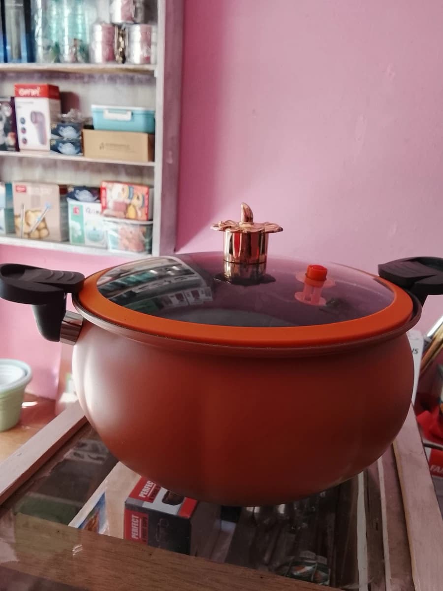 totipotent pot