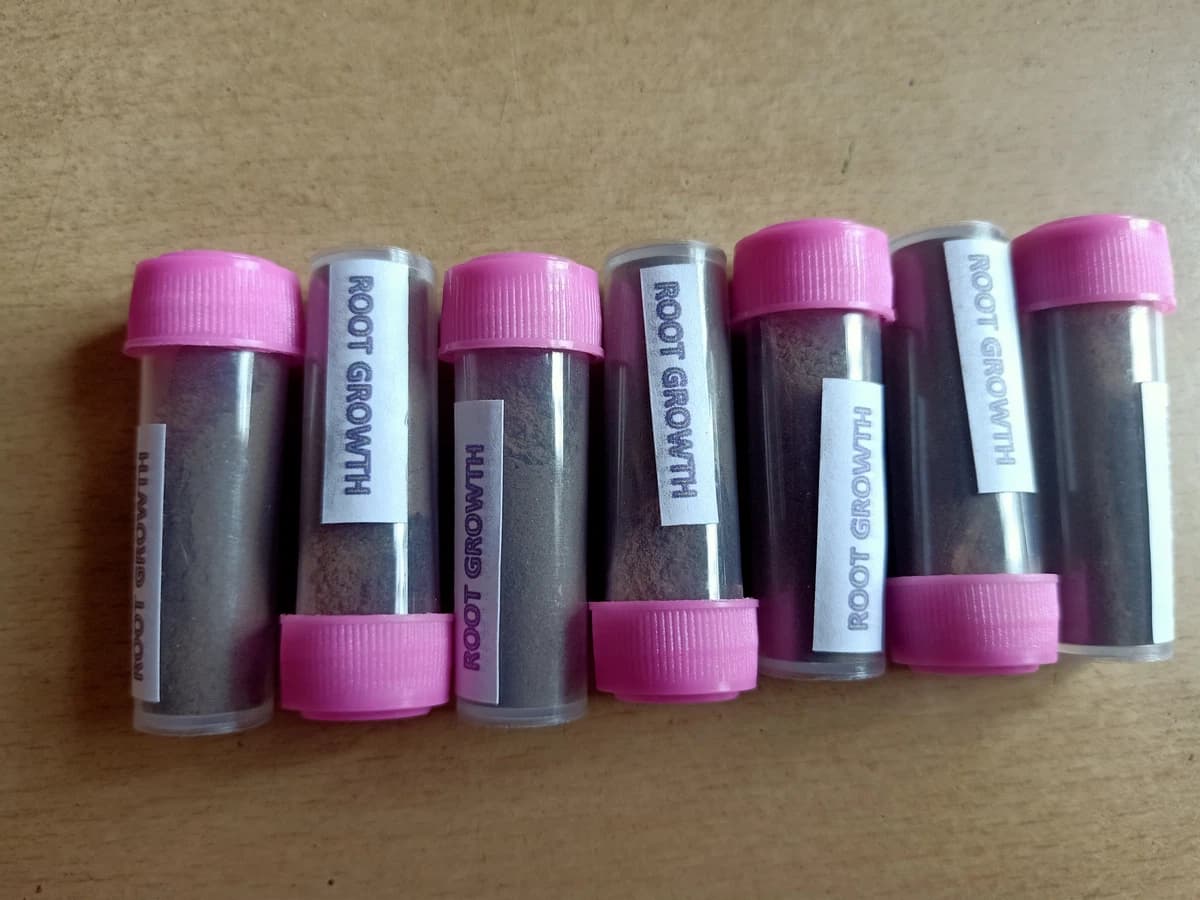 root growth 2pcs for 2 feet aquarium (starter for new planted aquarium)
