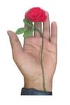 Crochet Red Rose with Leaves -3PCs
