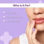 The Derma Co 1% Ceramide Complex Lip Balm with Ceramides & Vitamin E, SPF 30 PA++ for Dry & Chapped Lips - 4g