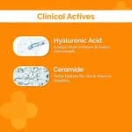 The Derma Co Hyaluronic Sunscreen Stick with SPF 60 & PA++++ For Easy Reapplication - 20g