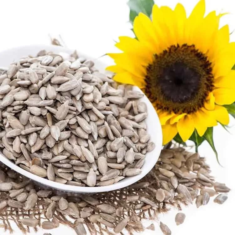 Sunflower Seeds - 500 gm