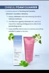 Ohneuli Houttuynia Cica Gentle Scrub Foam Cleanser - 150ml | Soothing Exfoliating Face Wash