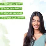 Mamaearth Tea Tree Shampoo for Dandruff Free Hair - 250ml