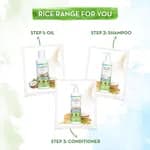 Mamaearth Rice Water Conditioner with Rice Water and Keratin for Damaged, Dry and Frizzy Hair - 250 ml