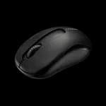 RAPOO M10 Plus Wireless Mouse - Black
