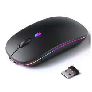 Dual Rechargeable Bluetooth and 2.4G Wireless Mouse 2 in 1 Mouse Type C