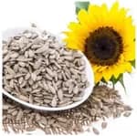 Combo Flax Seed 500Gm Pumpkin Seed 500Gm Sunflower Seed 500G Chia seed 500Gm Packet