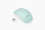 Prolink Wireless Optical Mouse - PMW6007