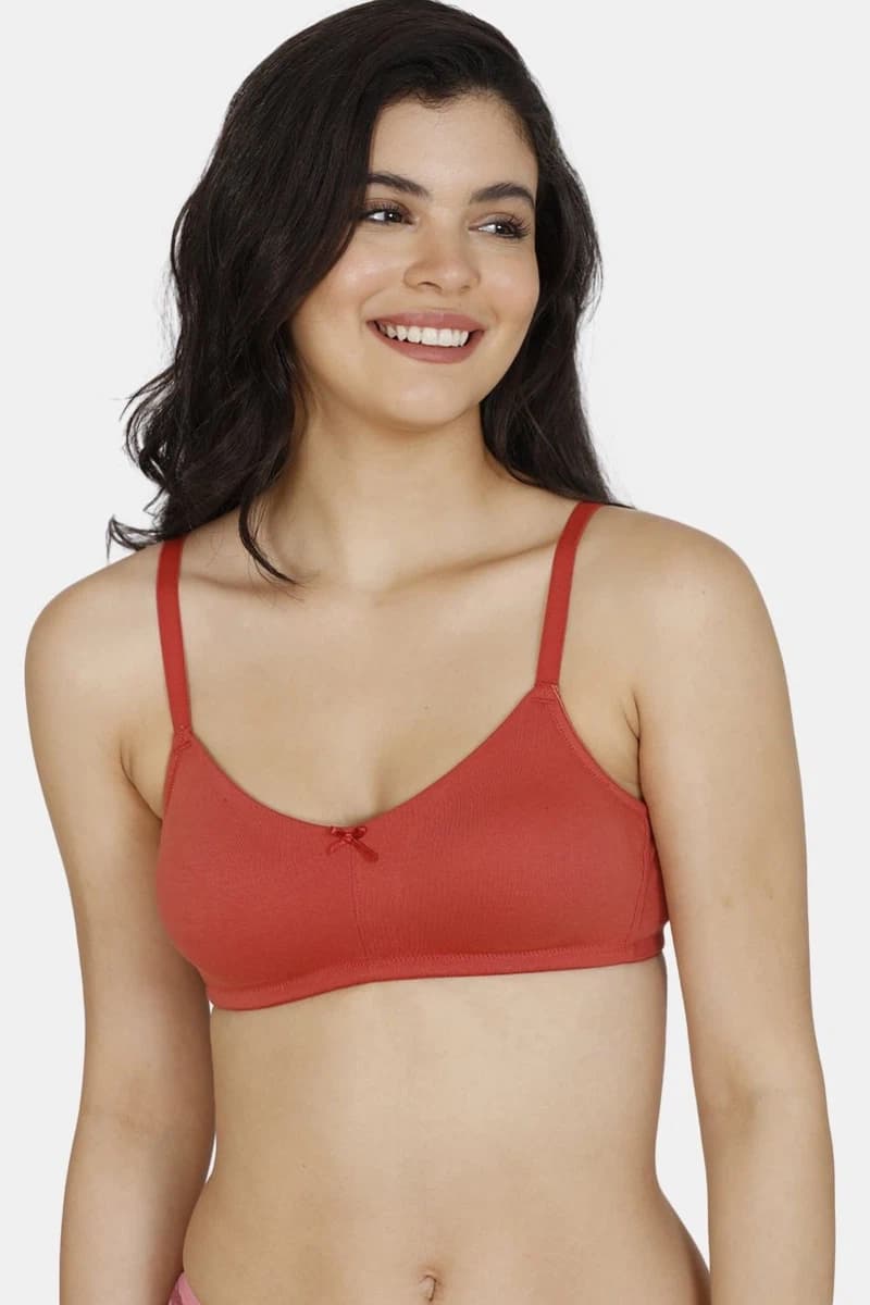Zivame Double Layered Non Wired 3/4th Coverage Sag Lift Bra - Dusty Cedar