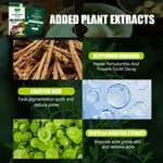 Aichun Beauty Licorice Root Whitening Nose Mask - Remove Blackheads & Shrink Pores (5PCS)