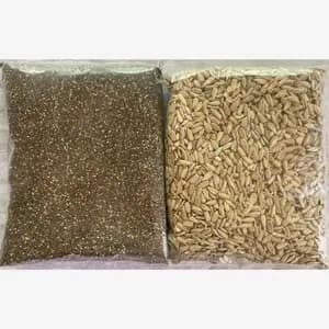 Combo Chia Seed 500Gm Sunflower Seed 500Gm packet