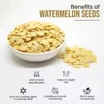 Water Melon Seed 1Kg Magaz Packet