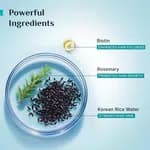 Pilgrim Korean Black Rice and Rosemary Water Spray With Biotin For Strong, Nourished Hair 200ml | Spray for Regrowth | Thicker & Stronger Hair | Sulphete & Paraben Free I For Women for Men