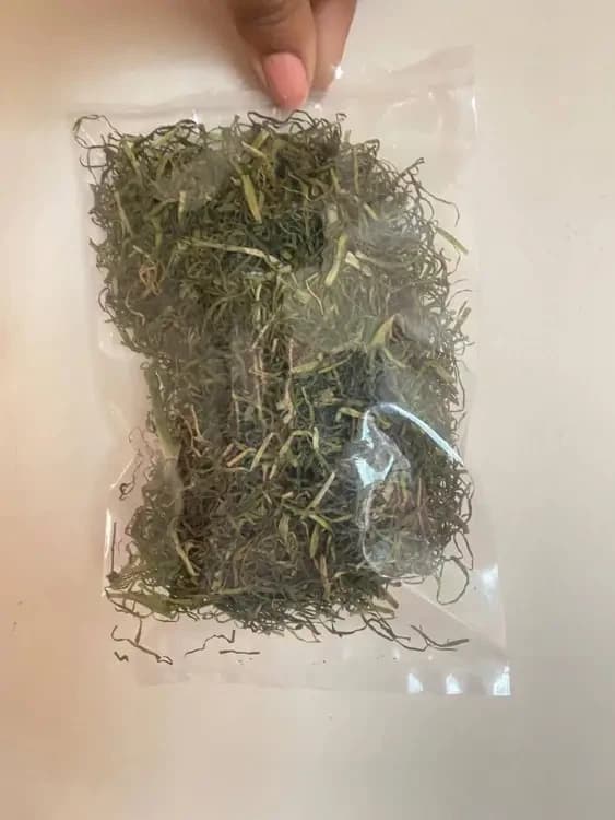 Natural Jimbu 25 Gm Packet