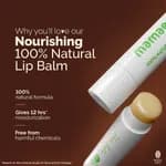 Mamaearth Nourishing 100% Natural Lip Balm with Shea Butter & Vitamin E - 4g