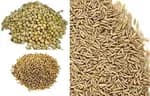Jeera Dhaniya Combo One Kg Jeera And 400 gm Dhaniya