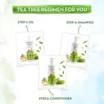Mamaearth Tea Tree Shampoo for Dandruff Free Hair - 250ml