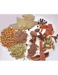 Mix Dry Spice Garam Masala 500 Gm Packet