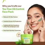 Mamaearth Tea Tree Oil Control Face Pack with Tea Tree & Salicylic Acid for Normal to Oily Skin - 200 g