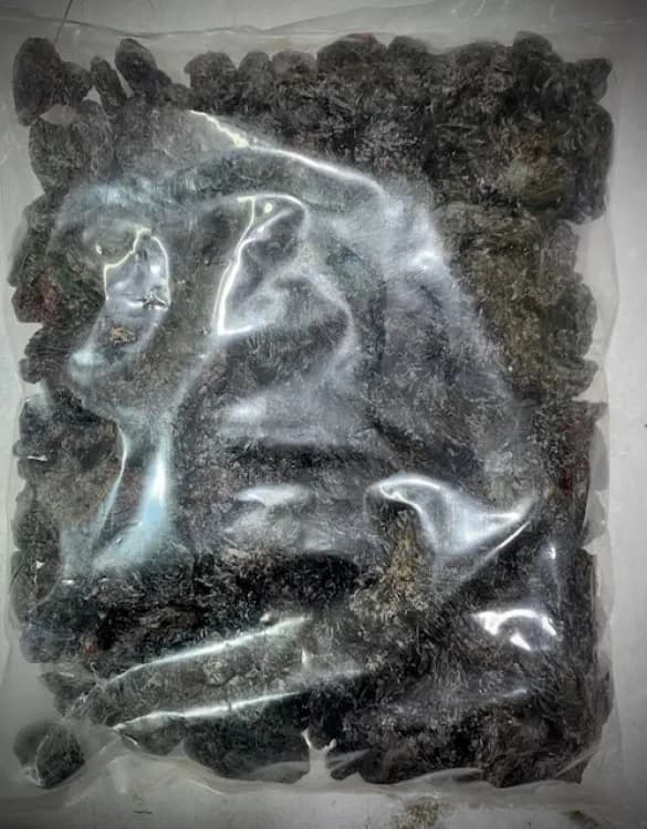 Dry Black Raisin With seed 500 Gm kismis
