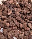 Black Cardaman Elichi 500Gm