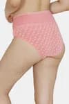 Zivame (Pack of 2) Tummy Tucker Hipster High Rise Anti-Microbial Panty For Women - Wind Pt Cabbage