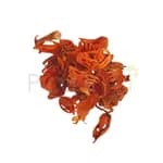Mace Spice Javitri 500 Gm