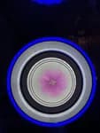 Dum light
