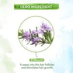 Mamaearth Rosemary Essential Oil for Hair Growth - 15 ml