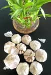 Dry Garlic With Skin 200 Gm Packet
